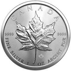 Srebrna Moneta Kanadyjski Liść Klonowy 1 uncja 24h