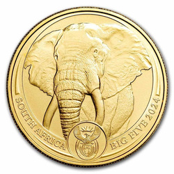 Złota Moneta Big Five Elephant 1 uncja 2024 24h