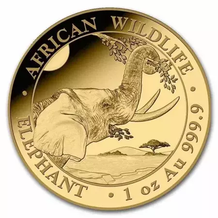 Złota Moneta Somalijski Słoń 1 uncja 2023 24h